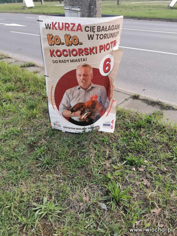 Cyrk na kółkach