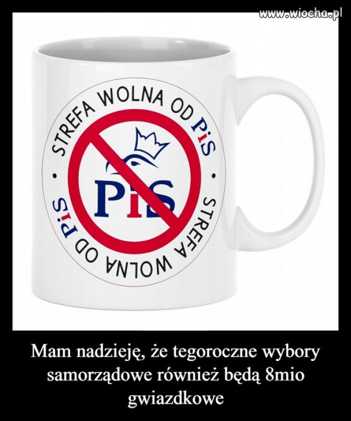 Idź na wybory !