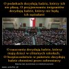 Jaki naród, tacy politycy przez nich wybierani!