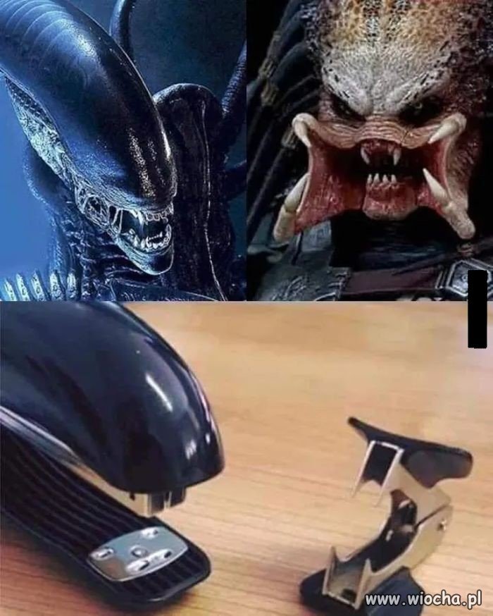 Biurowy Obcy vs Predator