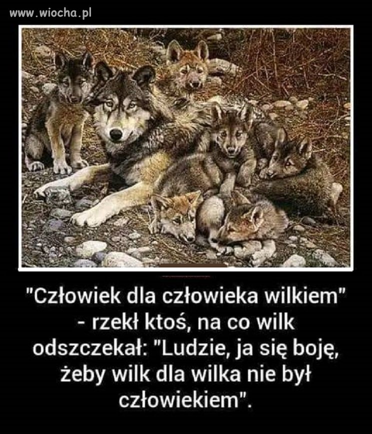 I to ma sens