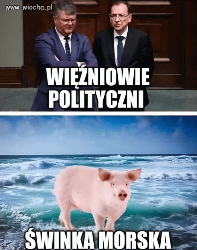 Tyle w temacie tych pajaców