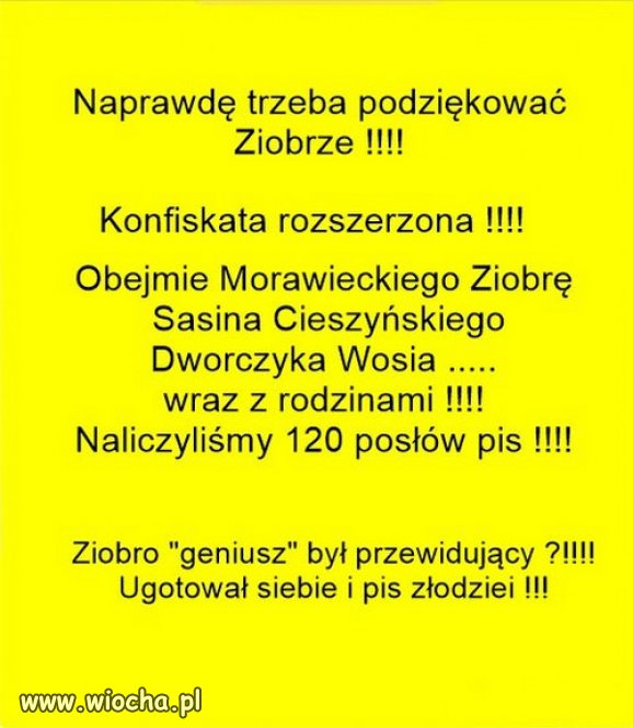 Zero to "geniusz" ukręcił bat na własną dudę...