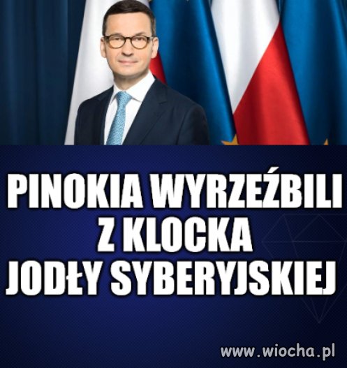 Ulubieniec cioci Stasi