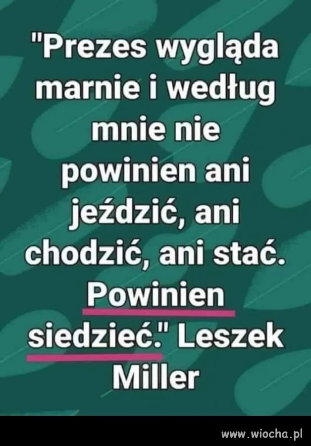 Nie przepadam za nim ale czasem stawia trafne ...