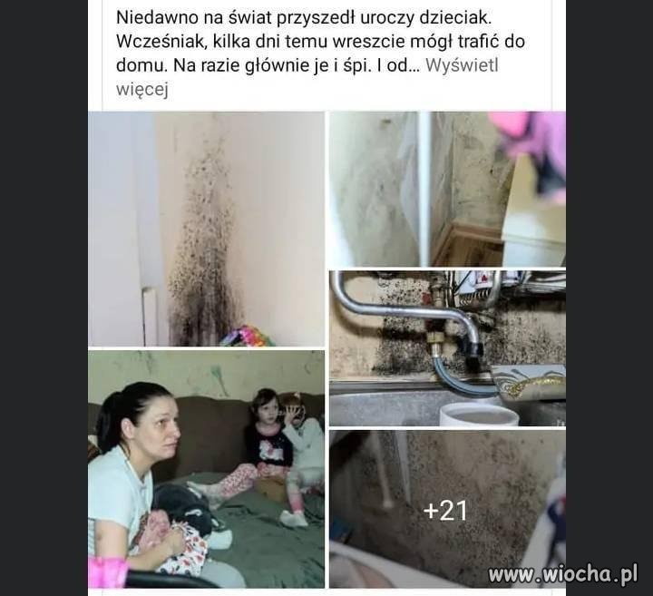 Szczęśliwa Madka Polka 