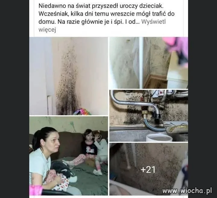 Szczęśliwa Madka Polka 