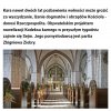 Zemsta płaskoziemców