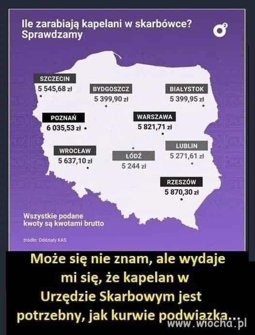Pasożyty ...