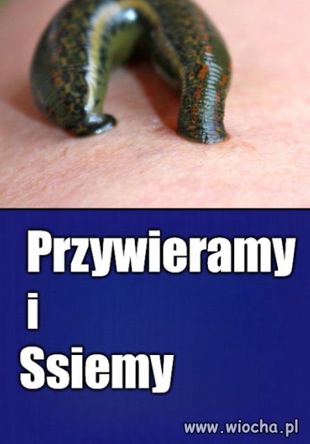 Królowie życia
