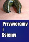 Królowie życia