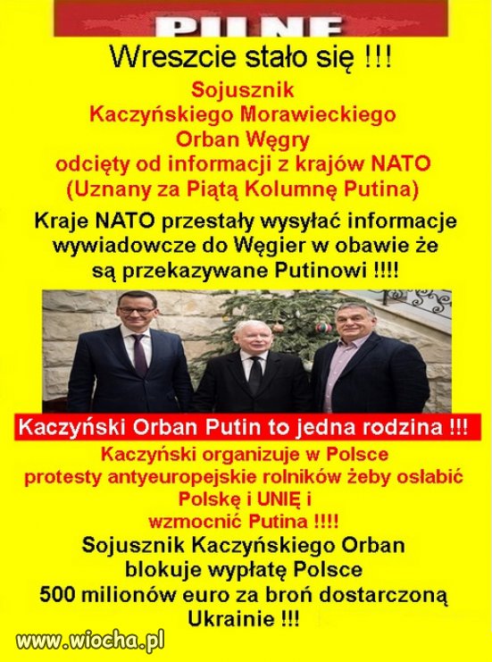 Czy PiS to tez V kolumna Putina, razem z Wegrami?