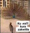 Wiosna