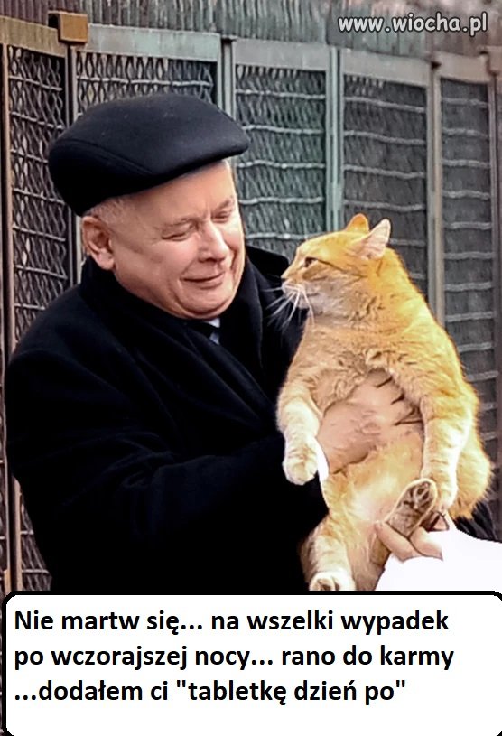 Tabletka "dzień po"