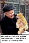 Tabletka "dzień po"