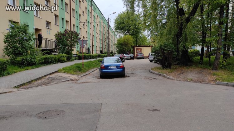 Mistrz parkowania
