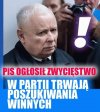 Taka piękna katastrofa
