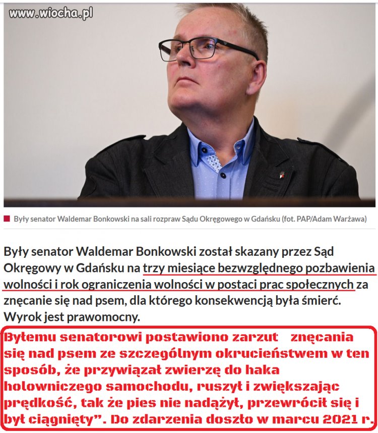 I to ma być wyrok? Śmiech na sali.