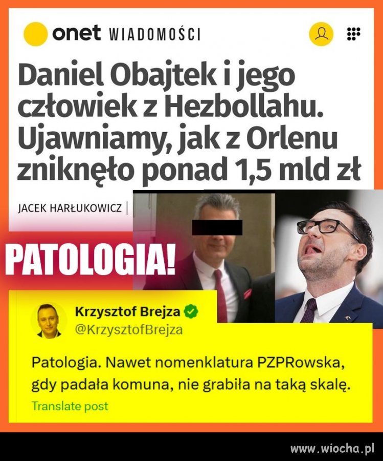 I takie coś w nagrodę startuje do Europarlamentu !