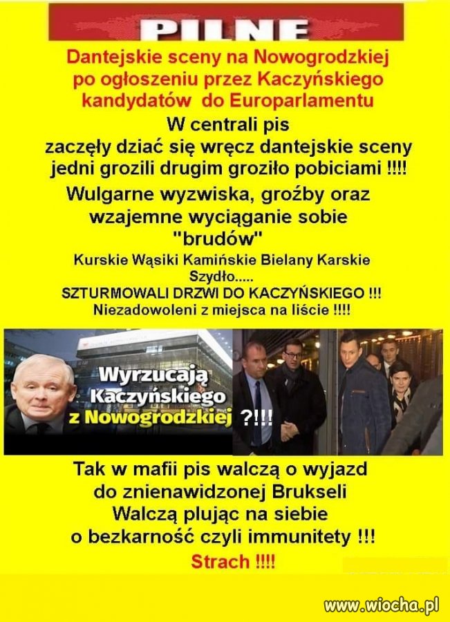 Szczury się pozagryzają wzajemnie aby tylko dostać
