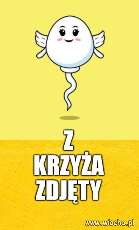 Kaprawym okiem ateisty patrząc ...