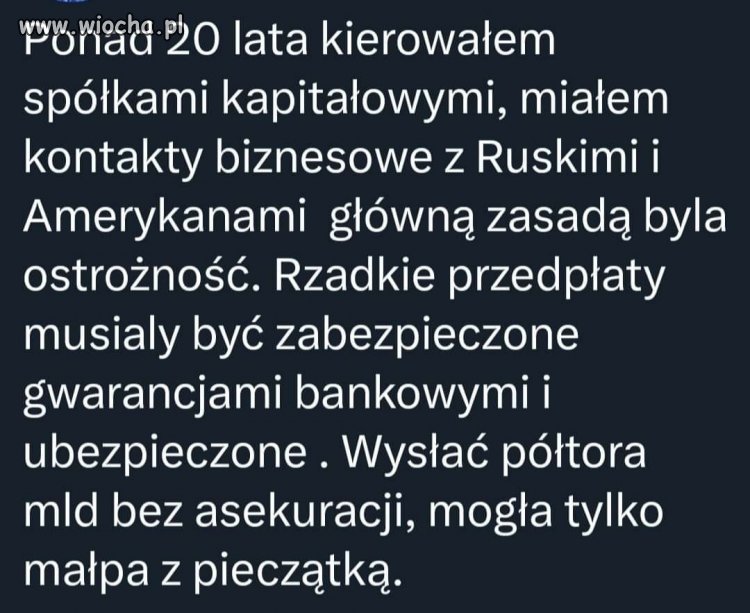 Pisowscy " profesjonaliści buahahaha 