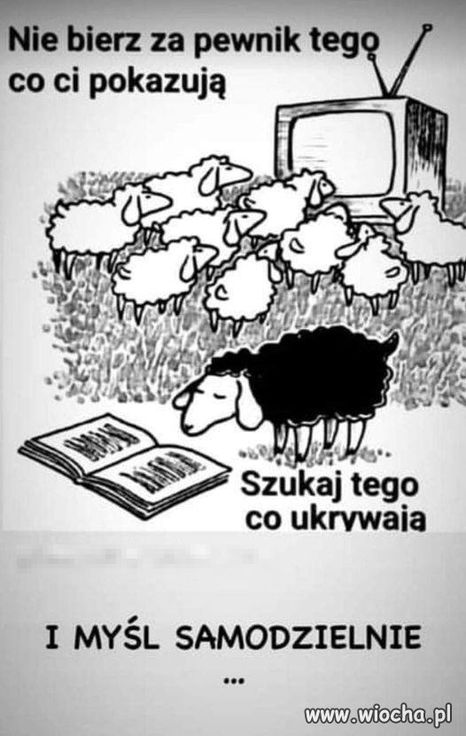 Samodzielnego myślenia boją się najbardziej