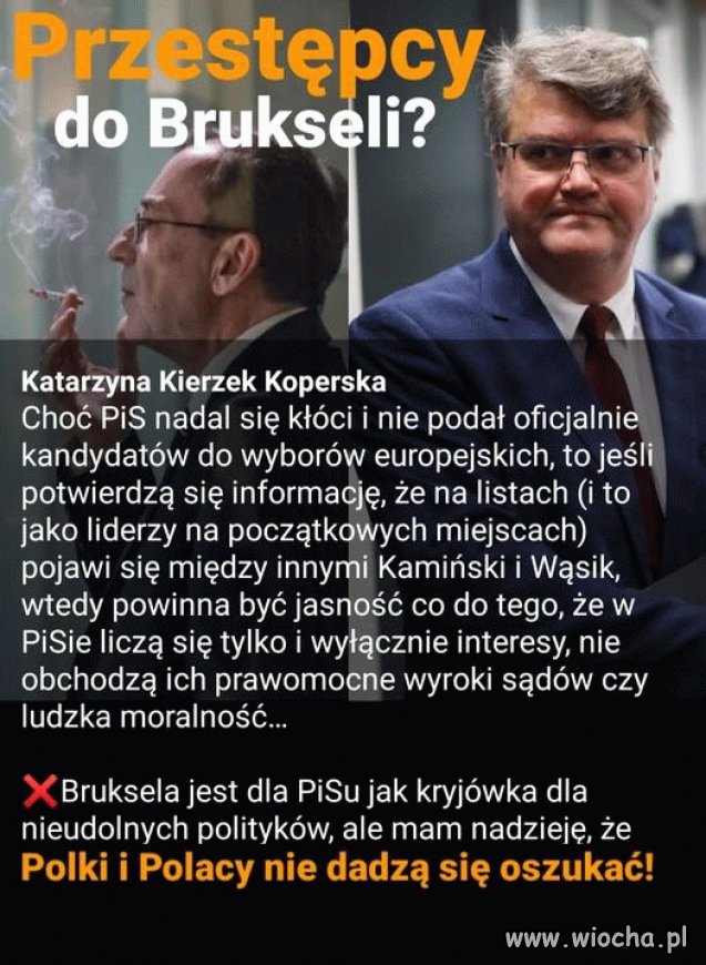 Pisowskie qrwy