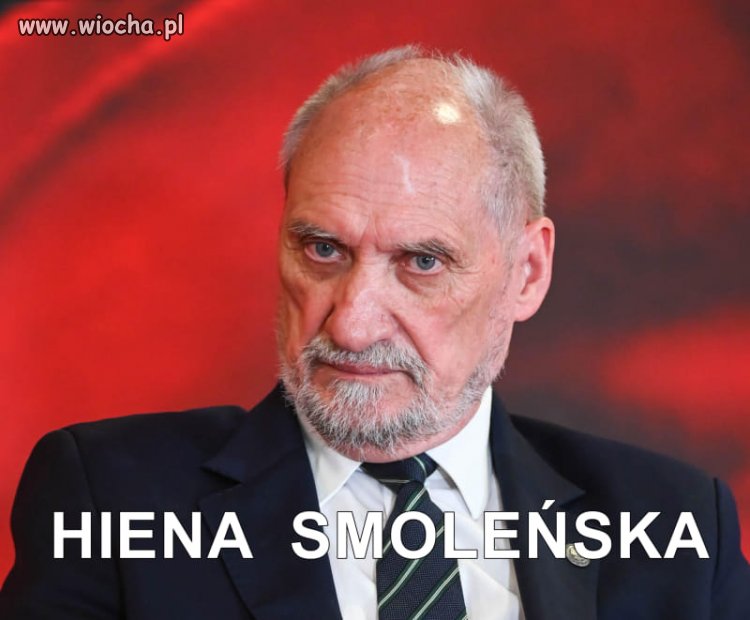 Czy ktoś zna nazwę łacińską tego gatunku ?