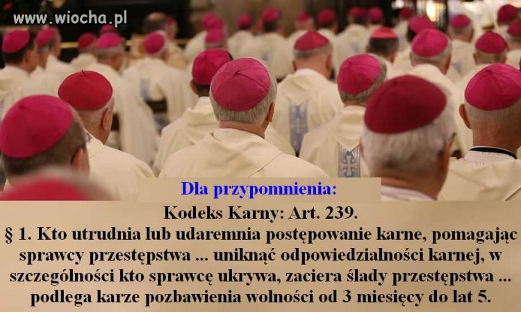 Wielu biskupów to przestępcy w przebraniu.