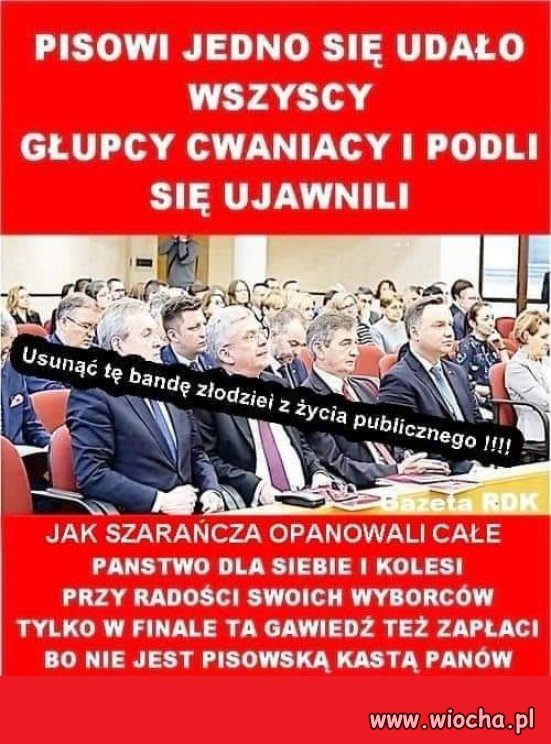 Tylko tyle z tego pożytku ...