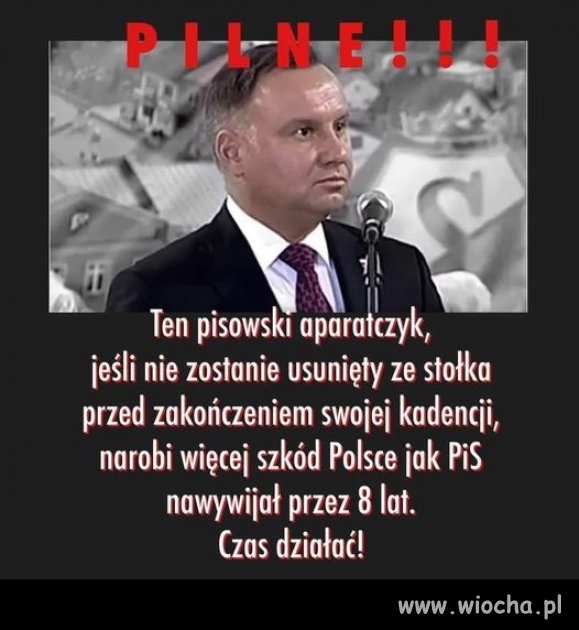 Wywalić na zbity pysk z tego urzędu ...