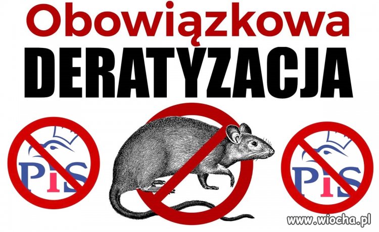 Tyle w temacie