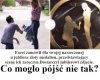 Szczerozłociutki