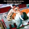 Zaprawdę, powiadam wam...