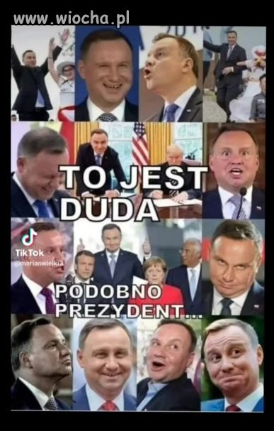 Andrzej Andrzej 
