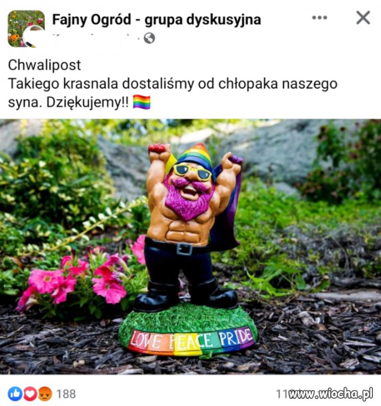 Ojciec ci lipę zrobi. 