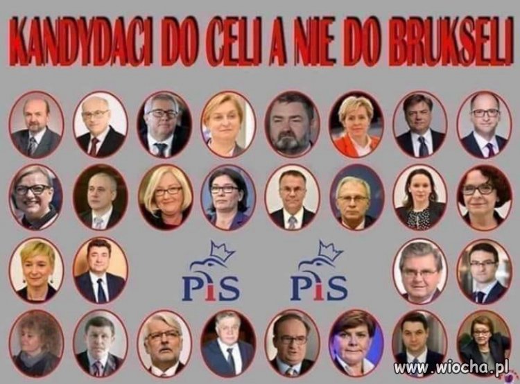 Lista szkodników i kryminalistów PiSu, do PE...