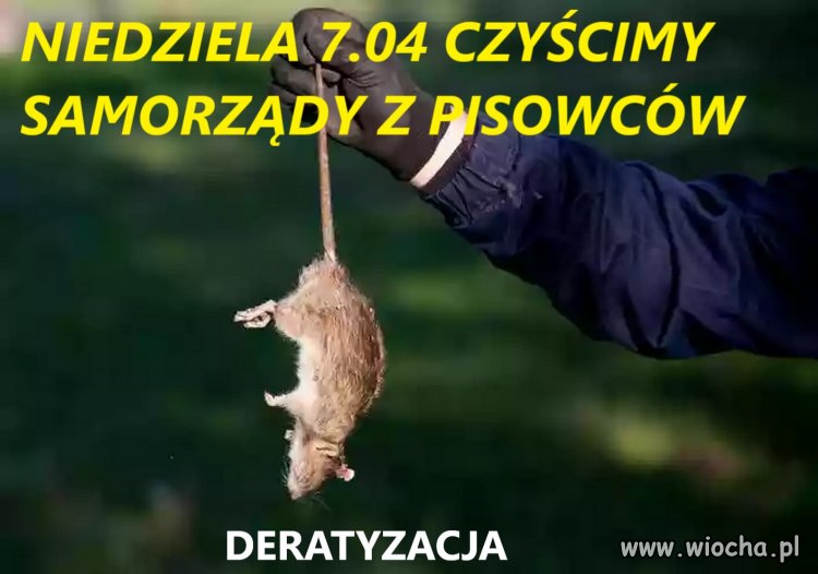 W niedzielę