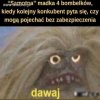 Spokojnie biorę pigułki 