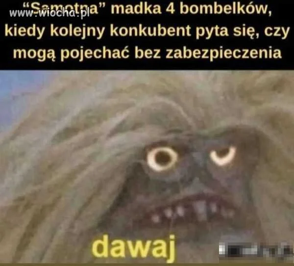 Spokojnie biorę pigułki 
