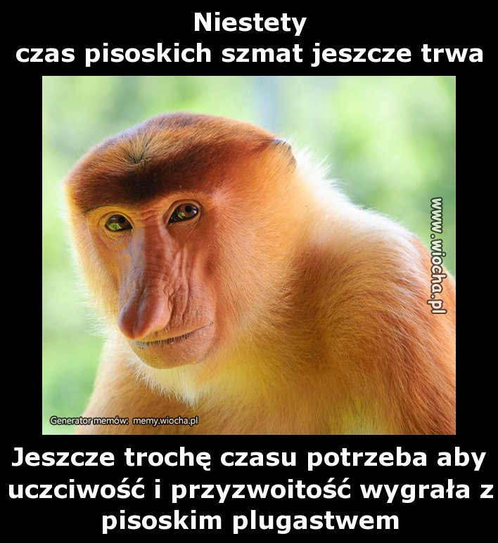Niestety
czas pisoskich szmat jeszcze trwa