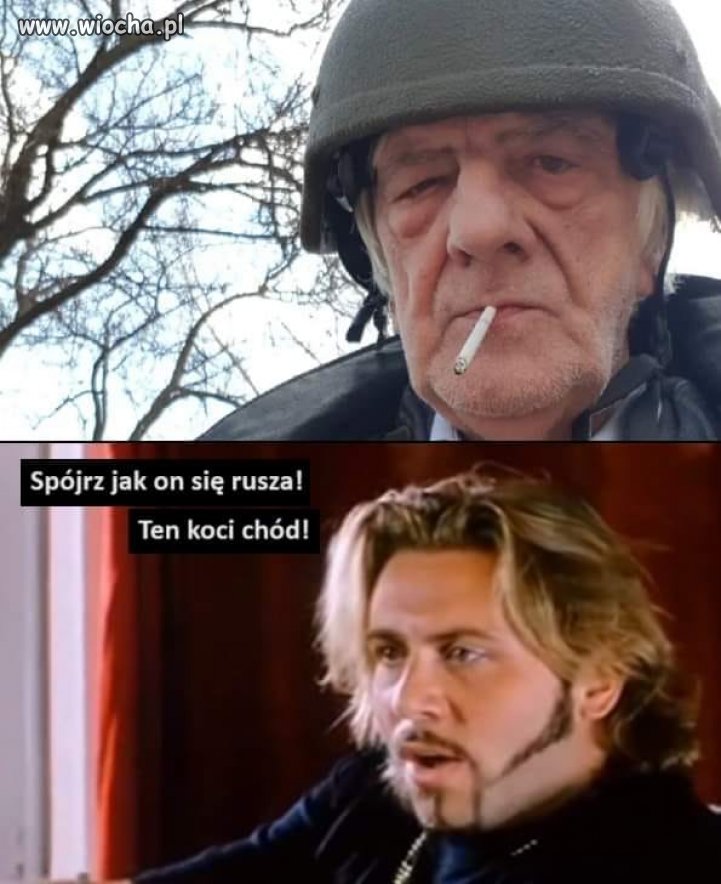 Patrzyłam na najpiękniejszą sylwetkę, jaką znam, na koci chód, 