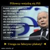 UWAGA! Na "farbowane lisy" PiSu w wyborach!
