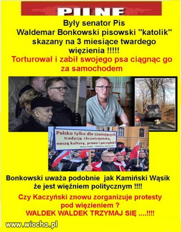 Kolejny pisowski "katolik" i "więzień polityczny".