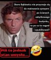Głupi jak pisowiec