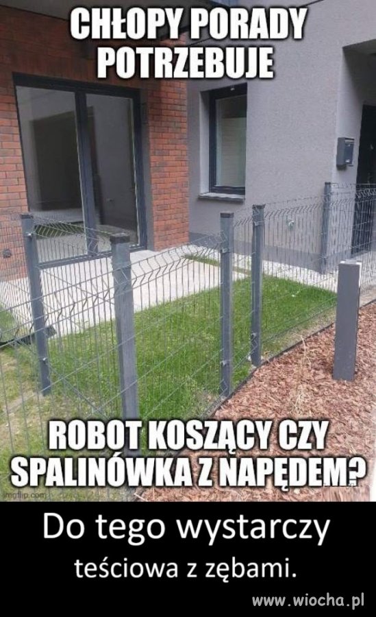 Trwanik