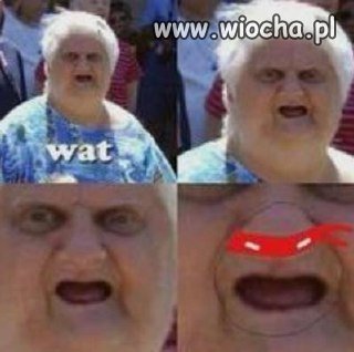 Wojownicze żółwie ninja 