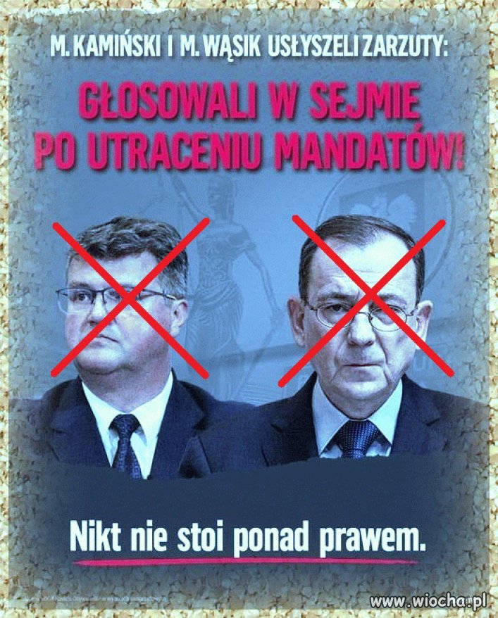 Pisowscy przestępcy