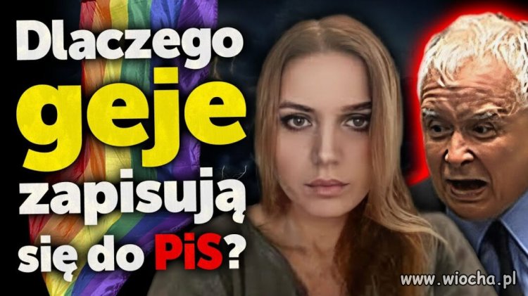  Co sprawia, że geje ciągną do partii Jarosława Kaczyńskiego?